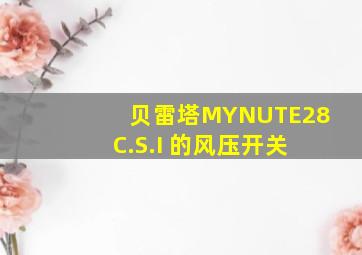 贝雷塔MYNUTE28 C.S.I 的风压开关